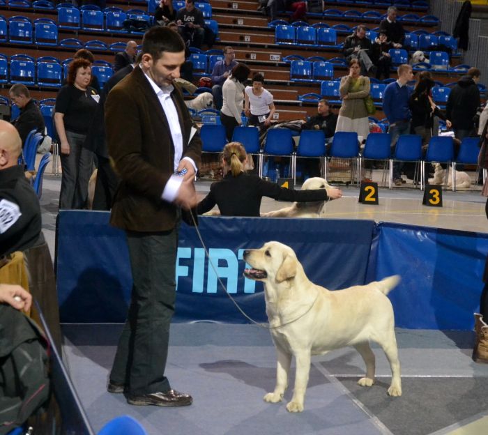 Jayncourt ANNOUNCING A STAR