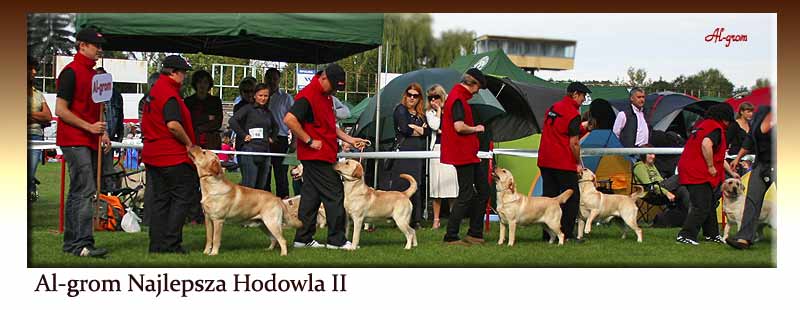 ALGROM NAJLEPSZA HODOWLA